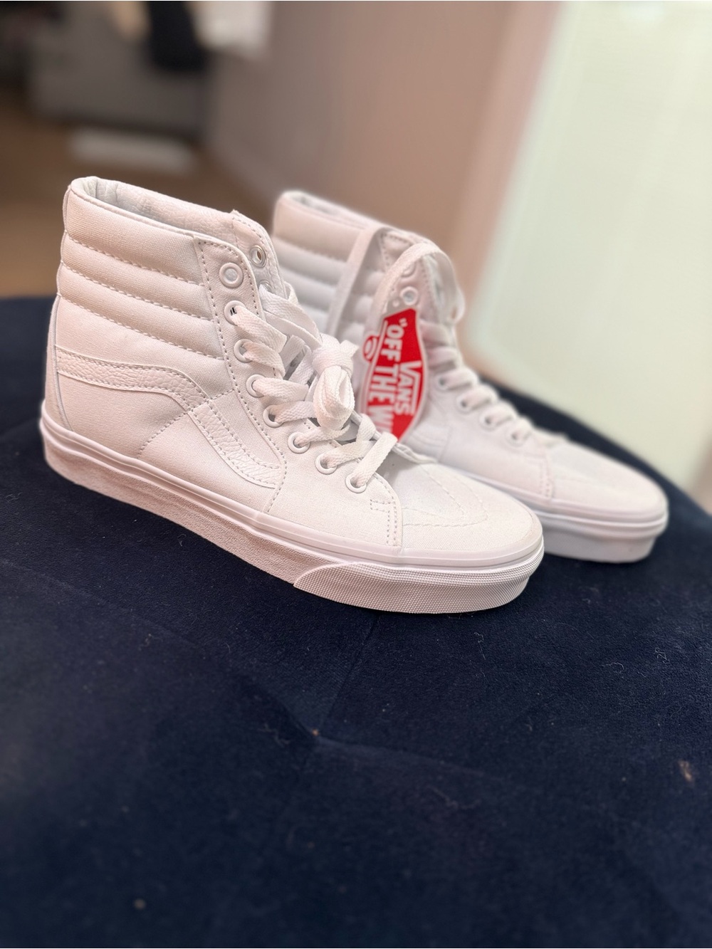 Sk8-Hi Shoe - Picture 3 of 5